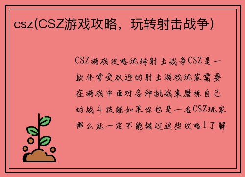 csz(CSZ游戏攻略，玩转射击战争)